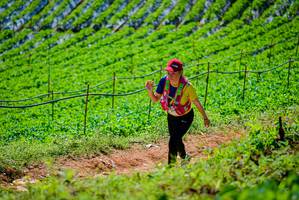 BIB: 
                            <button type="button" onclick="openModal(19164192)" class="btn btn-primary btn-sm float-right btn-popup" data-toggle="modal" data-target=".modal-high-quality">
                        <i class="fas fa-shopping-cart"></i> Add to Cart
                    </button>
                                            <button type="button" onclick="isThisMe(19164192, true)" class="btn btn-success btn-sm float-right btn-popup btn-isme hidden" data-toggle="tooltip" data-placement="bottom" title="นี่คือรูปของคุณใช่ไหม คลิกที่นี่เพื่อเอาเข้าอัลบั้ม">
                        <i class="fas fa-plus"></i> Add to album
                    </button>
                    <button type="button" onclick="isThisMe(19164192, false)" class="btn btn-warning btn-sm float-right btn-popup btn-isnotme hidden">
                        <i class="fas fa-ban"></i> Remove from album
                    </button>